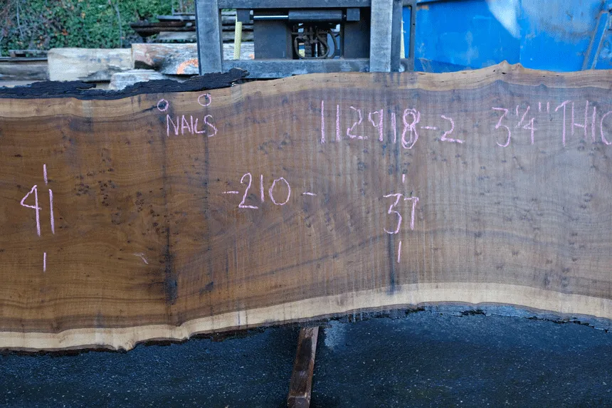 112918-02 Oregon Black Walnut Slab