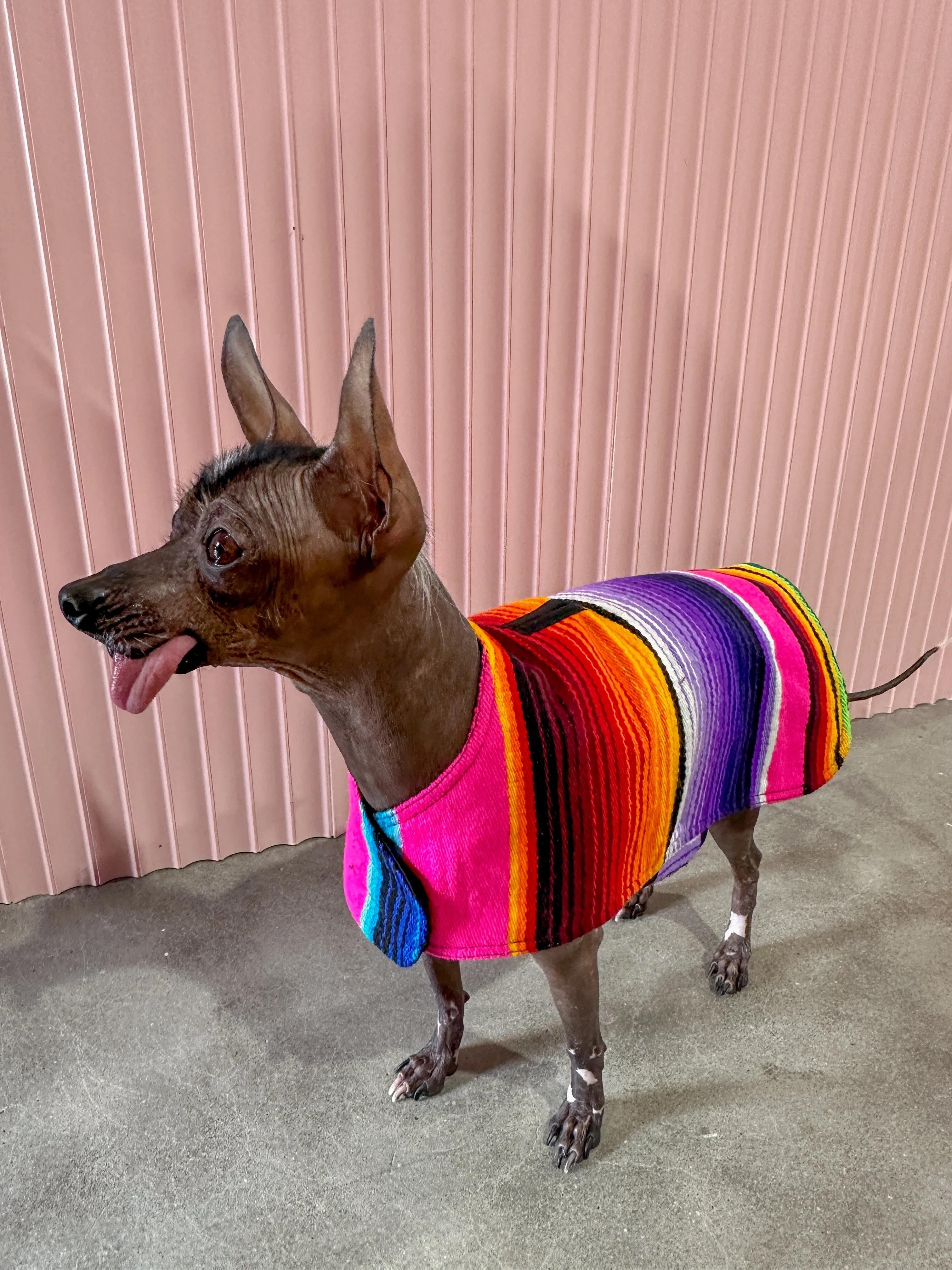 Baja Ponchos - Dog Poncho From Mexican Serape Blanket - Pink