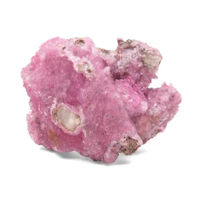 Calcite, Cobaltoan - Rough w/Dolomite, AAA-Grade