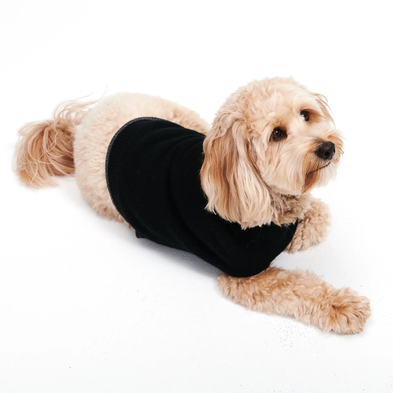 Cashmere Holiday Dog Sweater