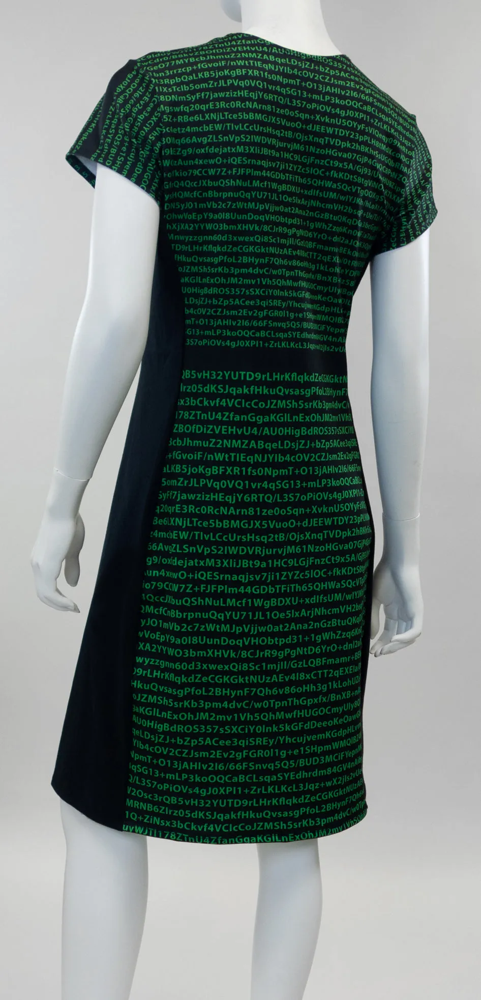 Encryption Dress