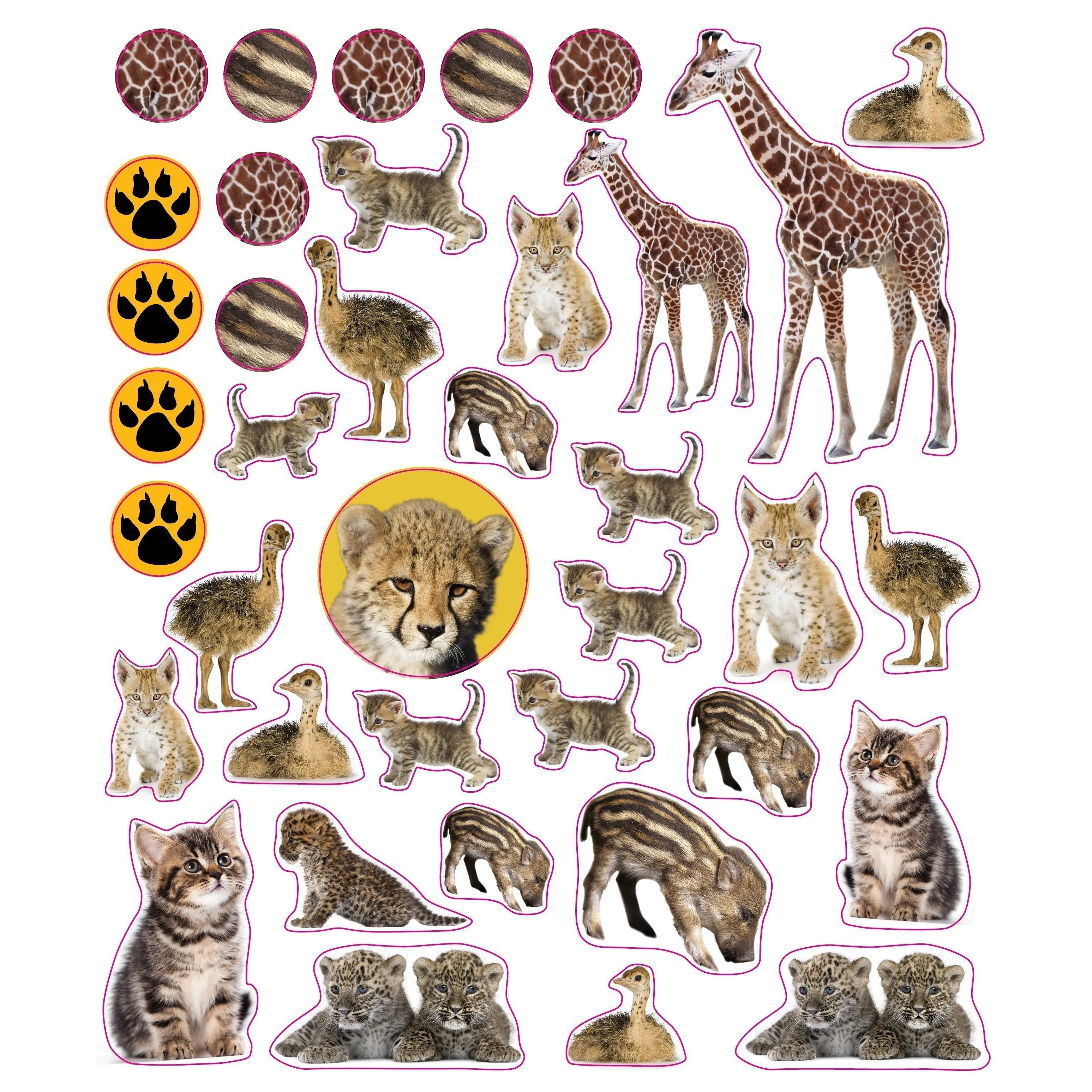 Eyelike Sticker Book - Baby Animals