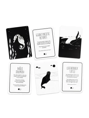 High Contrast Baby Flash Cards - Ocean Animals