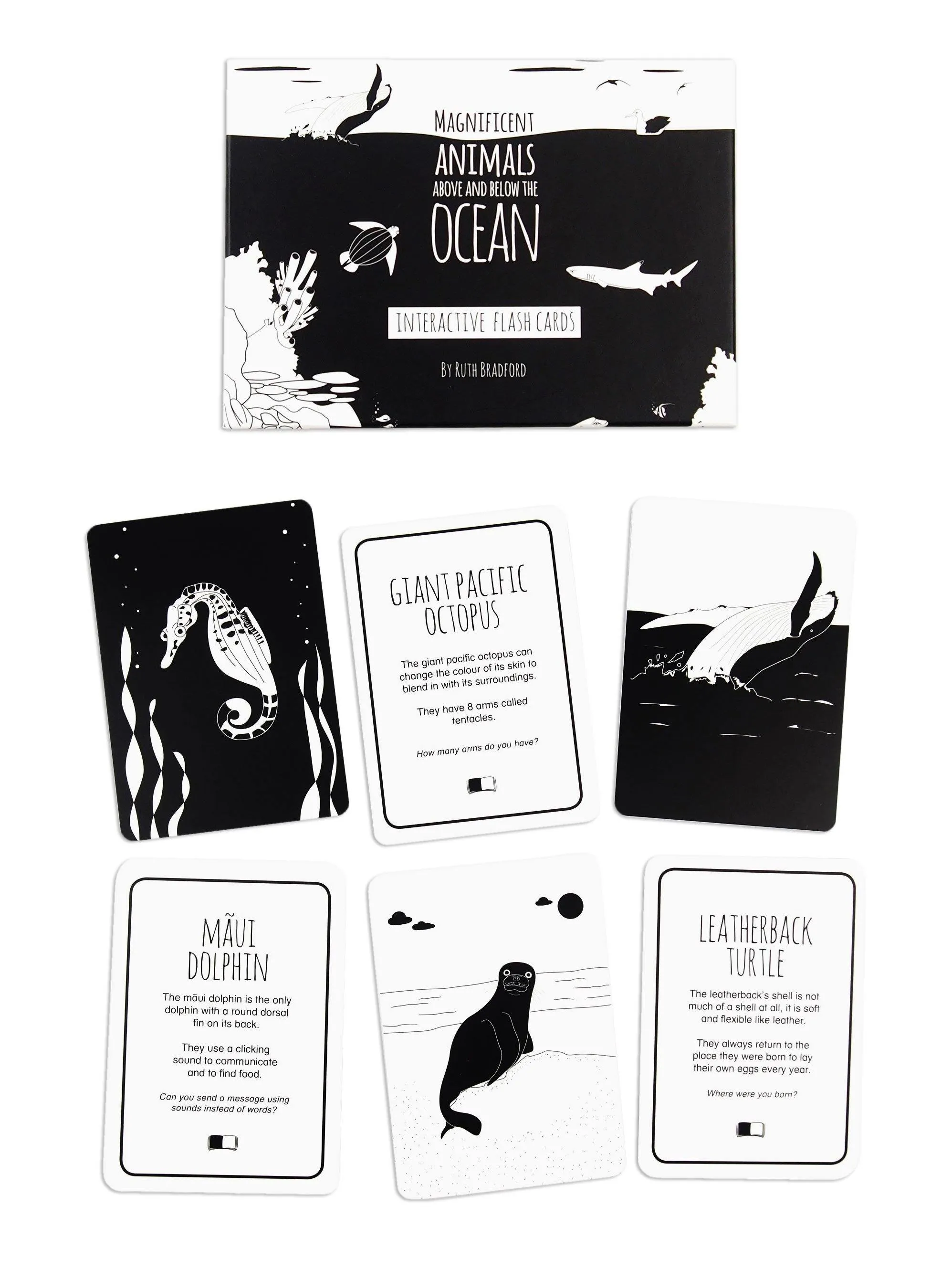 High Contrast Baby Flash Cards - Ocean Animals