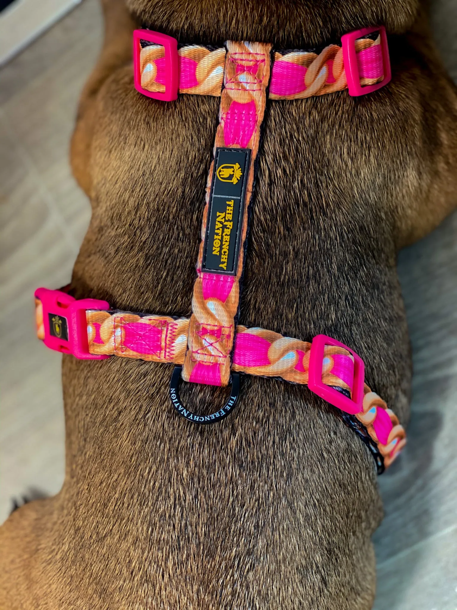 “Pretty Wild  “ Gold Chain Black Strap Harness 🐆⛓🎀