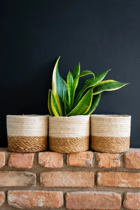 Sands Nesting Basket